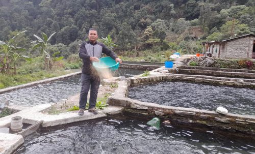 रेन्बो ट्राउट माछा बेचेर वार्षिक ३ करोड आम्दानी