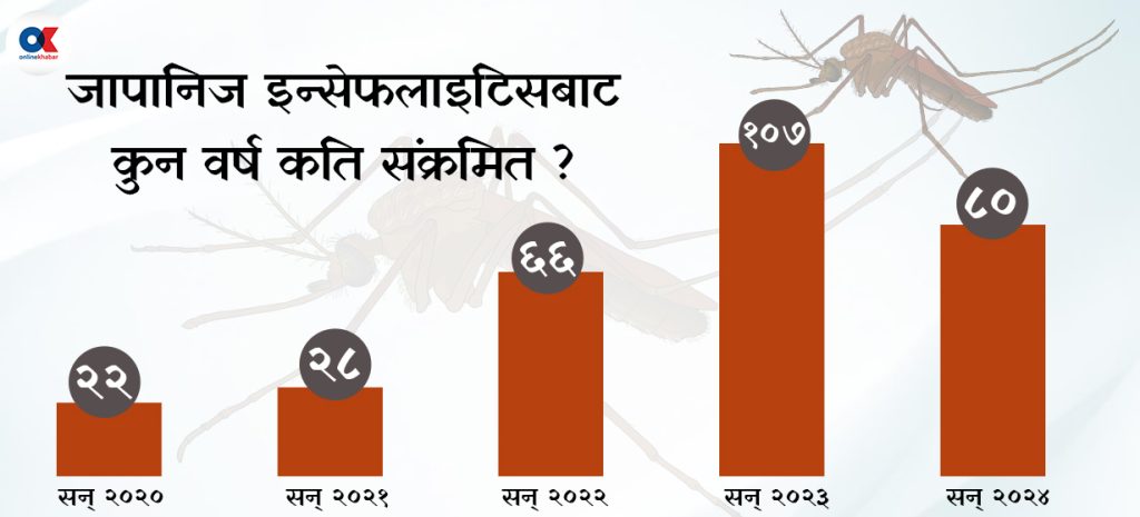 ३० जिल्लामा फैलियो जापानिज इन्सेफ्लाइटिस, २९ प्रतिशत संक्रमितको मृत्यु