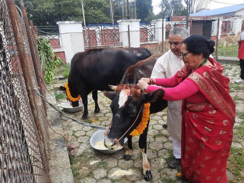 राष्ट्रपति पौडेलद्वारा गाई पूजा