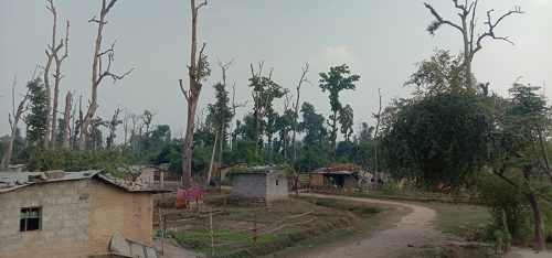 २ दशकदेखि सुकुम्बासीको प्रश्न : जग्गा कहिले पाइन्छ ?