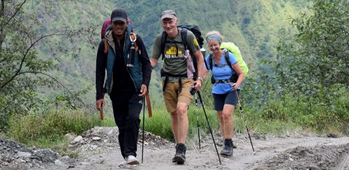 पर्यटक आगमन क्षमताको एकतिहाइ मात्रै