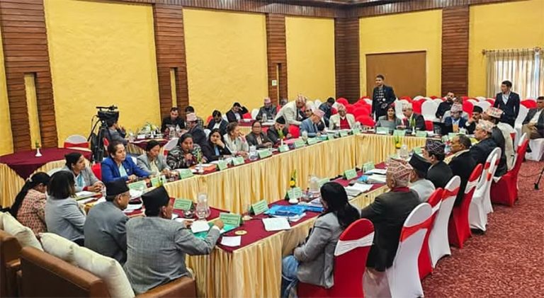 ७ प्रदेशका संसद पनि सरकारकै छायाँमा