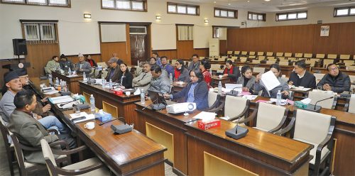 सांसदहरूले भने : अब पनि झोलामा खोला बोकेर नहिंडौं