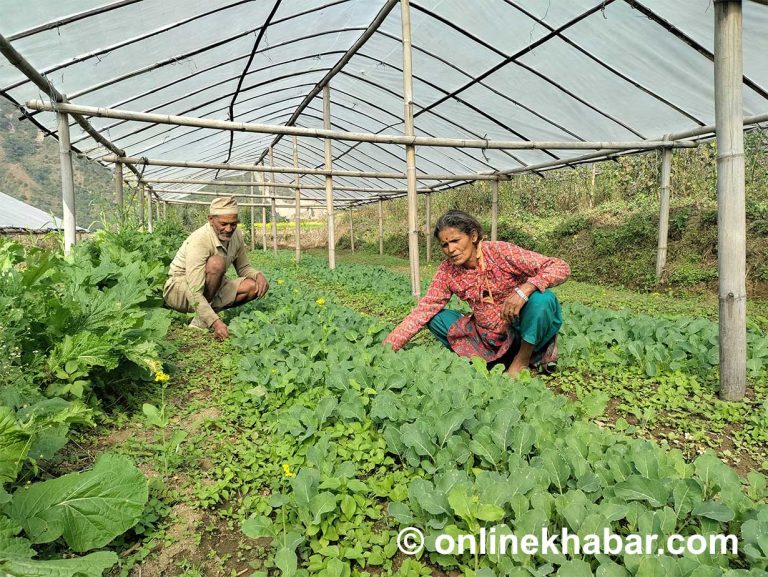 विषादीमा होस पुर्‍याउने हो भने अझै पनि खेतबारी जोगाउन सकिन्छ