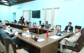 धनेश्वर खेलमैदानका लागि जग्गा खरिद गर्न बूढानीलकण्ठ नगरपालिकालाई स्वीकृति
