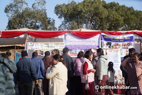 भृकुटीमण्डपमा देखियो च्याउ पारखीको ‘क्रेज’, राष्ट्रिय दिवस मनाउन दबाब