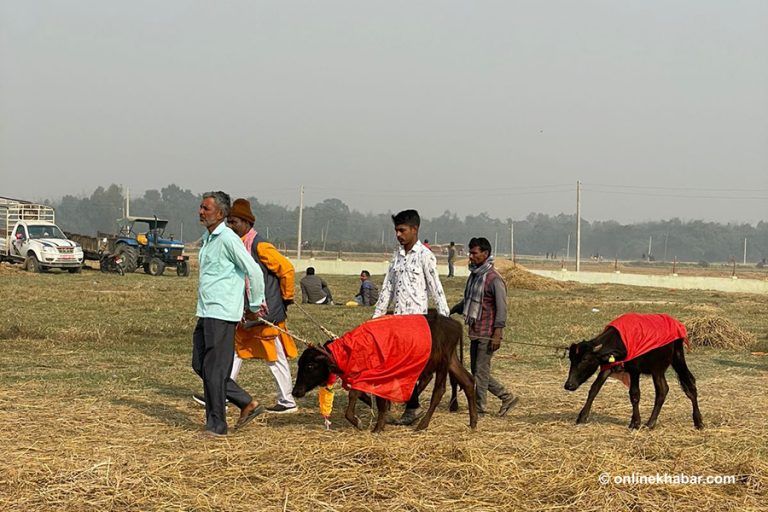 अबोध पशुको चीत्कार सुनेपछि तामसिक आहार त्यागें