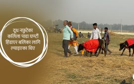 गढीमाईमा जे देखियो