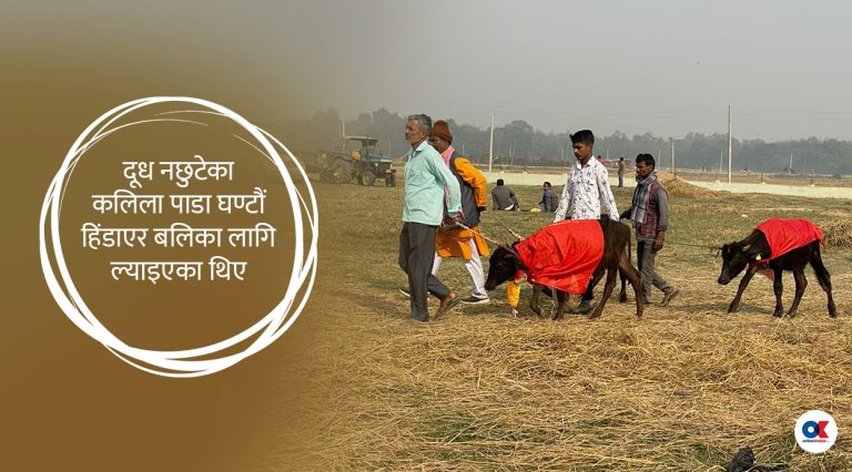 गढीमाईमा जे देखियो