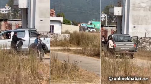 तस्कर समूहले बोलाउँथ्यो पथलैया, निकुञ्जको टोलीले बनायो हेटौंडा ‘मिड प्वाइन्ट’