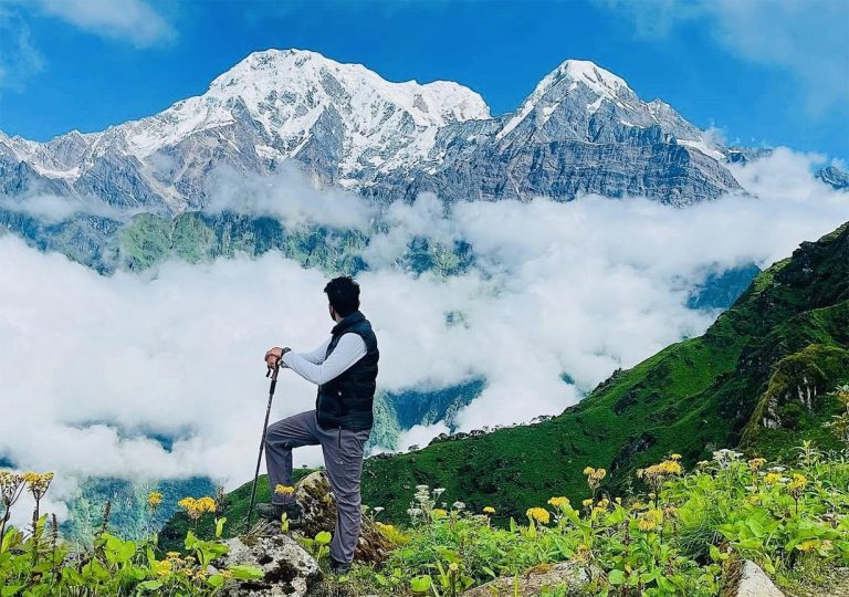 मार्दी मोहनी