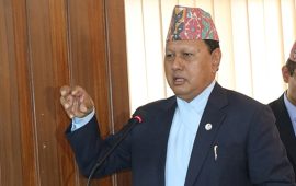 सिन्धुपाल्चोक-१ मा मोहनबहादुर बस्नेत एकल सिफारिस