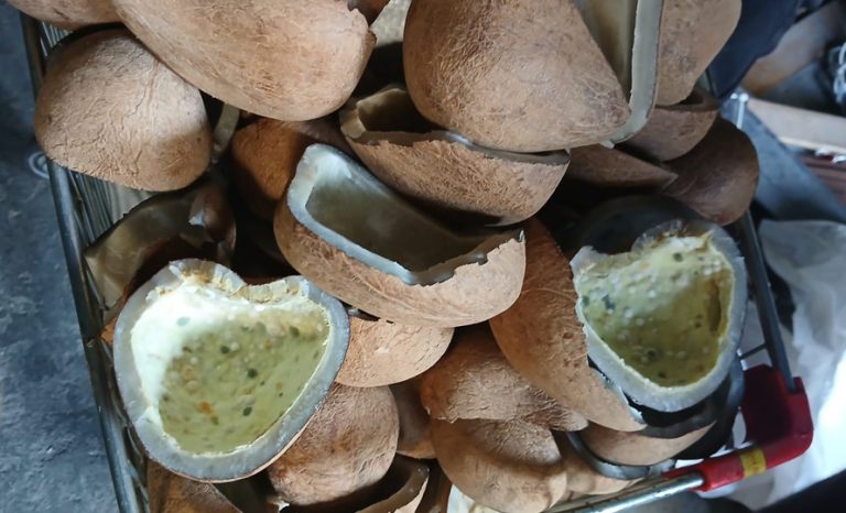 त्रिपुरेश्वरको भाटभटेनीमा भेटियो ढुसी परेको नरिवल
