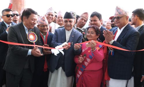 आर्थिक विकासमा दमक व्यापारिक कम्प्लेक्सको महत्व छ : उपप्रधानमन्त्री सिंह