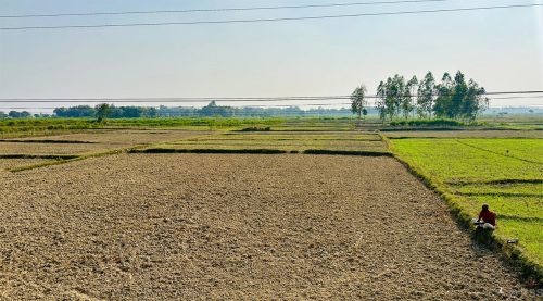 सिरहाका किसानलाई गहुँखेती गर्न रासायनिक मल अभाव