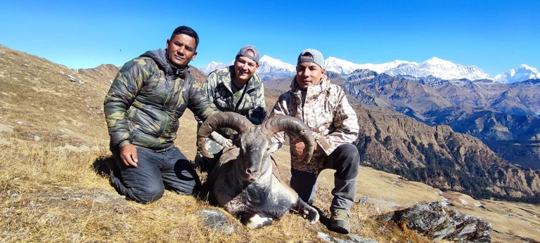 ढोरपाटनमा पहिलो याममा १० नाउर र ५ झारलको सिकार