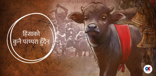 रङ नम्बर : कति मासु खान्छौं भगवान् !