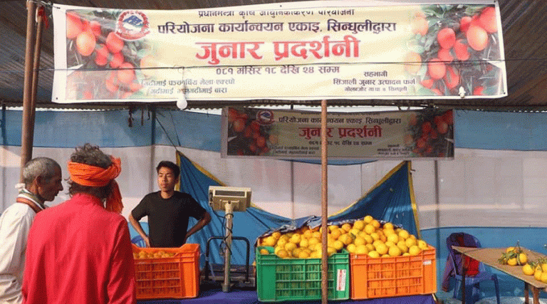 गढीमाई मेलामा कृषि प्रदर्शनी : सिन्धुलीको जुनारदेखि नुवाकोटको कफीसम्म
