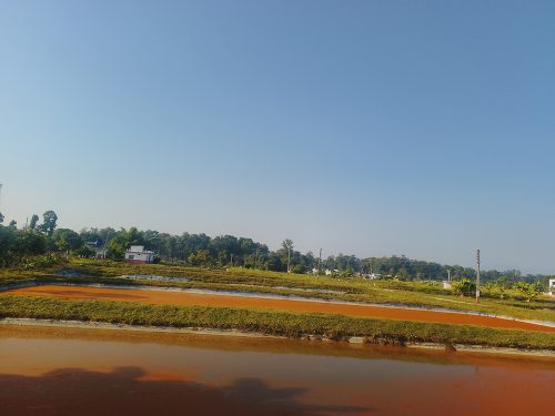 मत्स्य विकास केन्द्रमा २ करोड बढीका माछाका भुरा उत्पादन