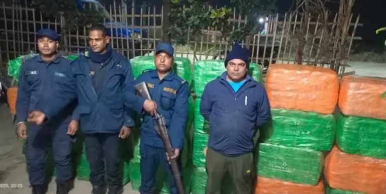 सप्तरीमा ६७० किलो गाँजा बरामद