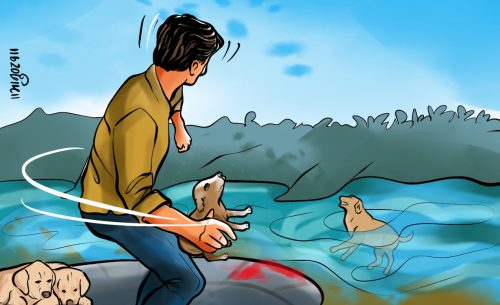 क्रुरताको यो हद, सुत्केरी कुकुर र बच्चालाई ढुंगामा पछार्दै नदीमा फाले