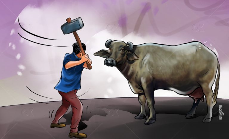 एउटी गर्भिणी भैंसीको आर्तनाद्