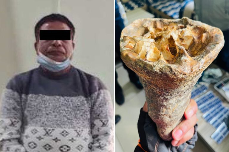 झापामा लागूऔषध कारोबारी खोज्न जाँदा प्रहरीले भेट्यो गैंडाको खाग जस्तो वस्तु, भारतीय पक्राउ