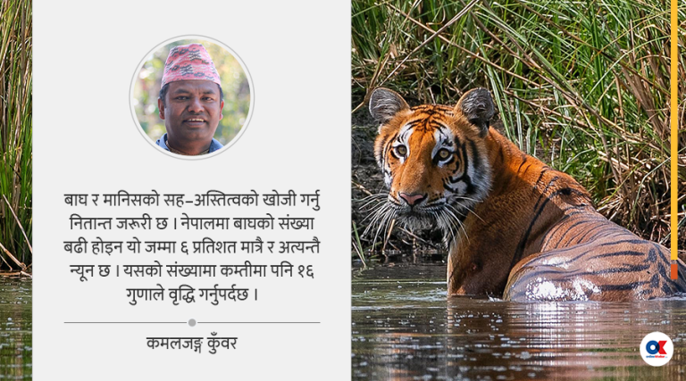 वन, बाघ संख्या र वसुधैव कुटुम्बकम्