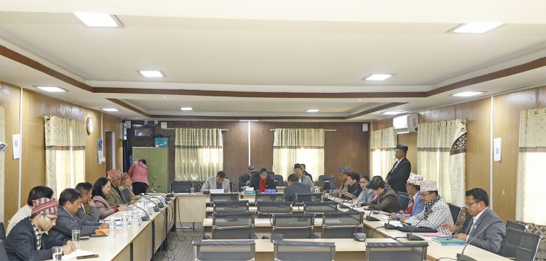 संसदीय समितिमा ५२ पदाधिकारीको नियुक्ति र सरिरहेको पेसीको चर्चा