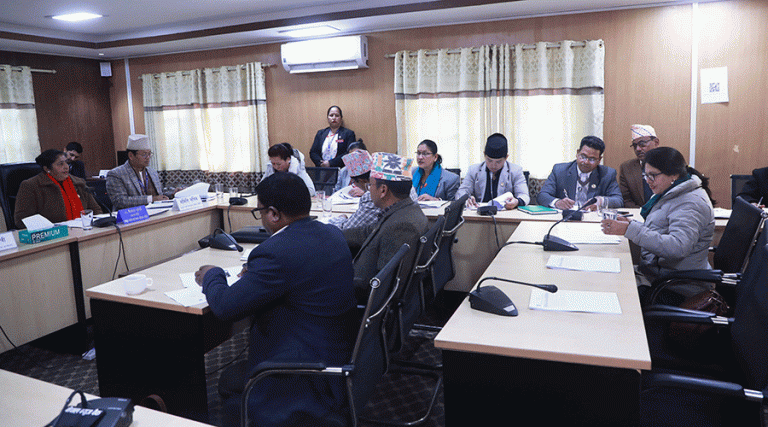 मर्यादाक्रमप्रति कांग्रेस सचेतकको असन्तुष्टि, भन्छिन्– सभामुखपछि उपसभामुख रहनुपर्छ
