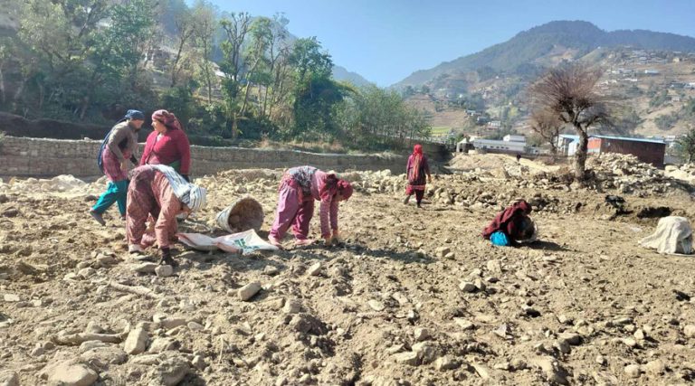 बेथानचोकका बगर खोस्रिंदै खेती गर्ने तरखर