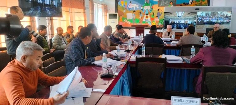 अध्यादेशबारे एमाले : संविधानमा छ भने कसरी अलोकतान्त्रिक हुन्छ ?