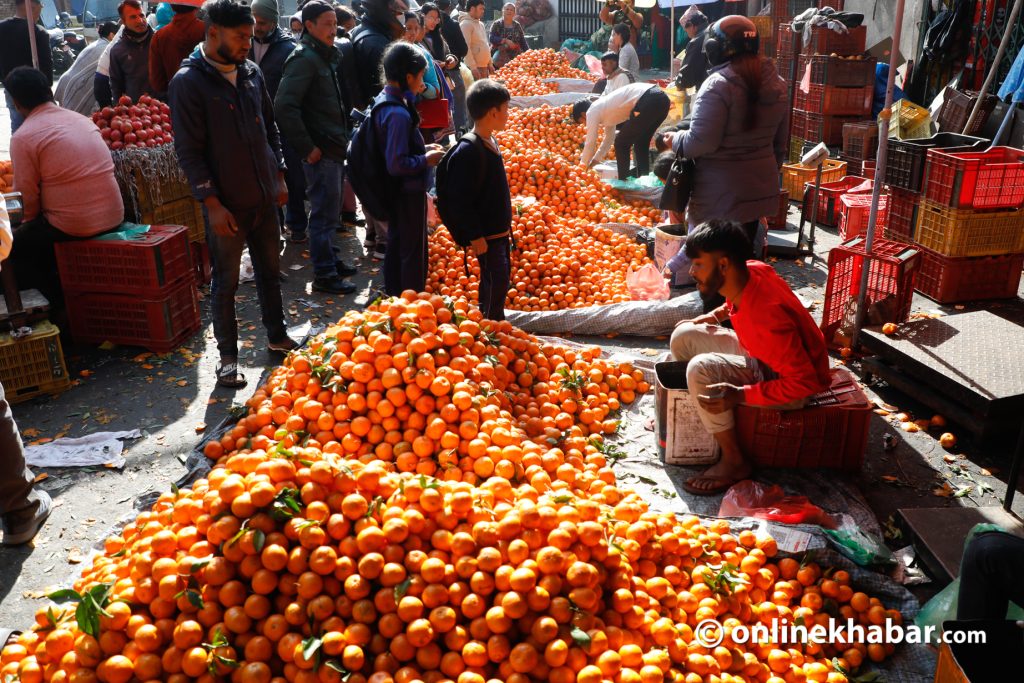सुन्तला र जुनारको भाउ बढ्यो, सरिफा घट्यो