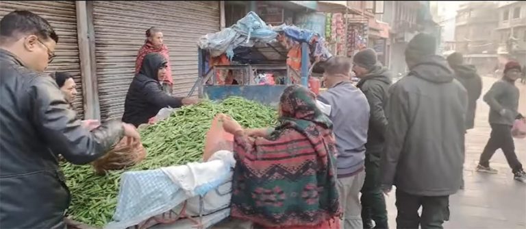 गाडीमा राखेर तरकारी बेच्नेमाथि नगर प्रहरीको धरपकड