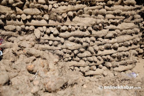 बाहुनडाँगीमा चौथो अन्तर्राष्ट्रिय तरुल महोत्सव हुँदै