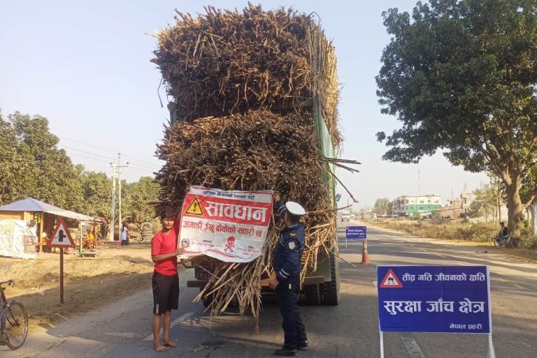 धनुषामा सडक दुर्घटना घट्यो