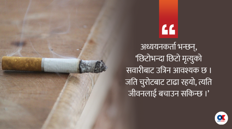 के चुरोटको एक खिल्लीले २० मिनेट आयु घटाउँछ ? यसो भन्छन् विज्ञ ?