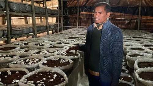 मध्यविन्दुका वडाध्यक्षले युट्युवबाट सिकेको उद्यम 