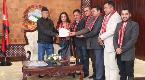 पत्रकार महासंघले प्रधानमन्त्रीलाई बुझायो ७ बुँदे ध्यानाकर्षणपत्र