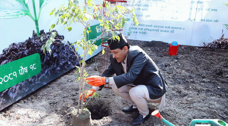 १८ हजार बिरुवा रोप्ने ग्लोबल आईएमई बैंकको घोषणा