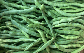 घिउसिमीको मूल्य घट्यो