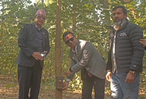मानव र वन्यजन्तु द्वन्द्व घटाउन कम्दी करिडोरमा ९५ वटा क्यामेरा जडान