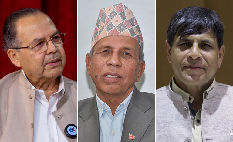 एकीकृत समाजवादीले तोक्यो ३३ विभागका प्रमुख र उपप्रमुख, कुन विभागमा को ?