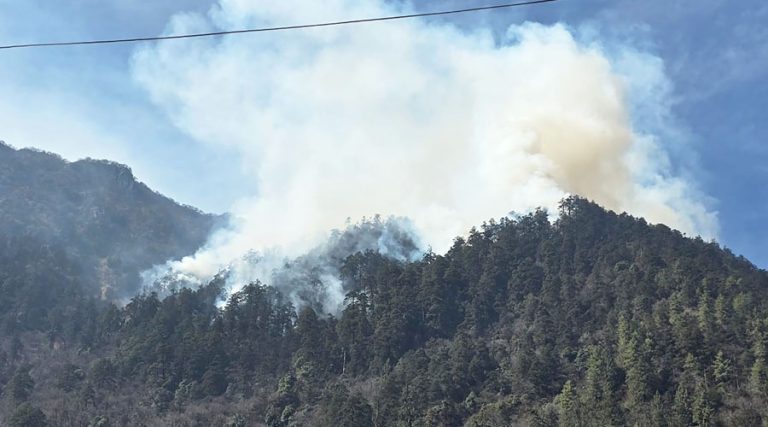 मनाङको चामेस्थित जंगलमा तीन दिनदेखि डढेलो, नियन्त्रणमा सकस