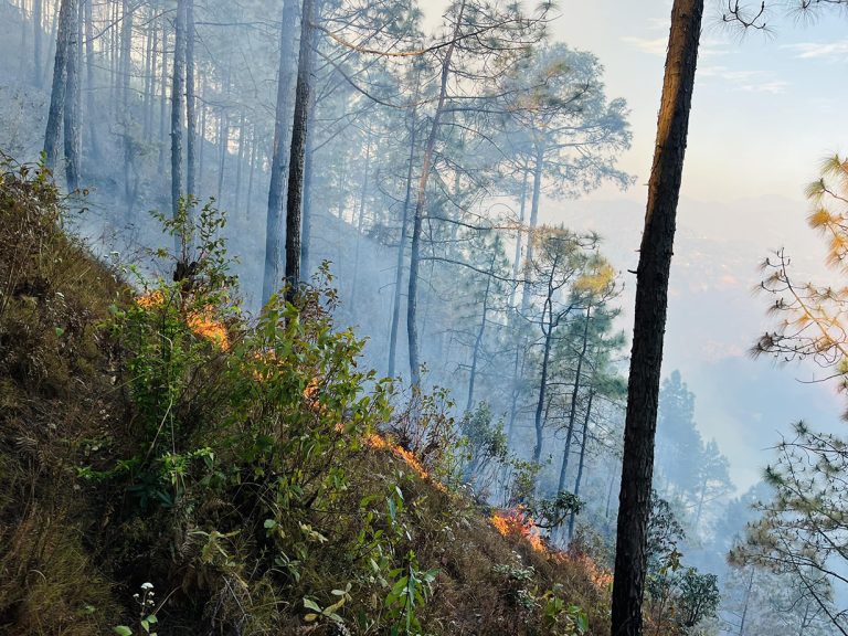 गुल्मीमा एकै महिना १६ ठाउँमा आगलागी, यस्तो छ नियन्त्रणको तयारी