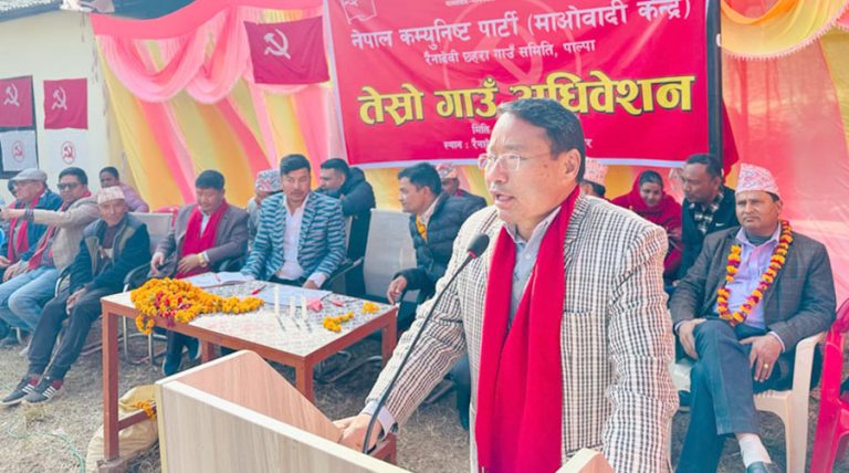 सम्पत्ति छानबिन गर्न शक्तिशाली आयोग गठन होस् : पुन