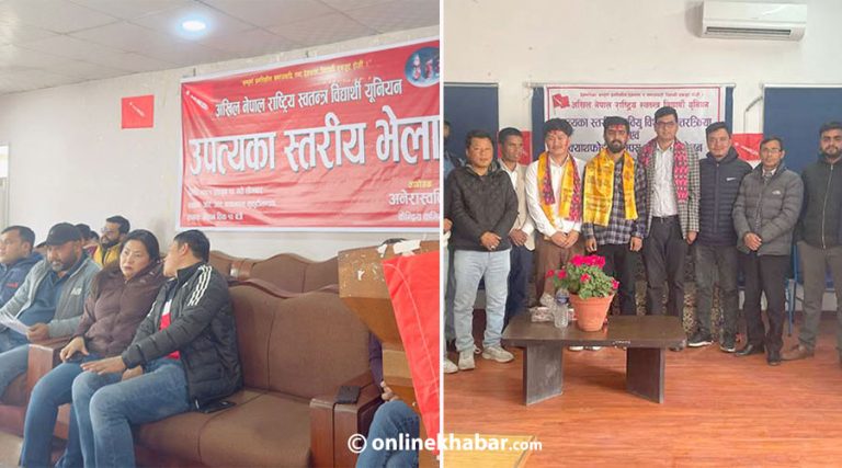 एकीकृत समाजवादीकाे अनेरास्ववियूमा समानान्तर भेला