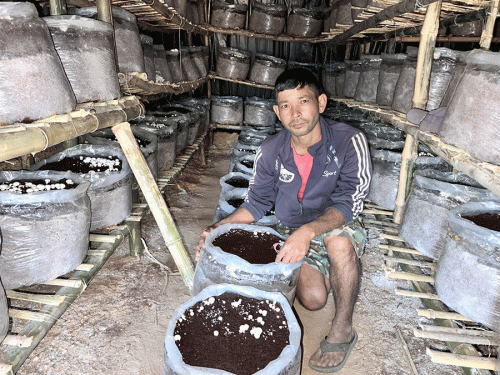 डोटीमा जयबहादुरले सुरू गरे व्यावसायिक गोब्रे च्याउ उत्पादन