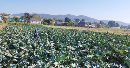 घोराहीमा कृत्रिम जलाशय निर्माण गरी ९५ बिघामा सिँचाइ