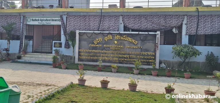 राजनीतिक प्रतिशोधको भूमरीमा मधेश कृषि विश्वविद्यालय